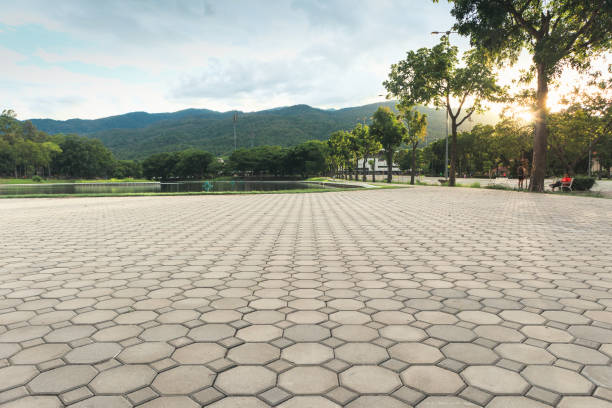 Best Local Driveway Pavers  in Brooklyn Park, MD